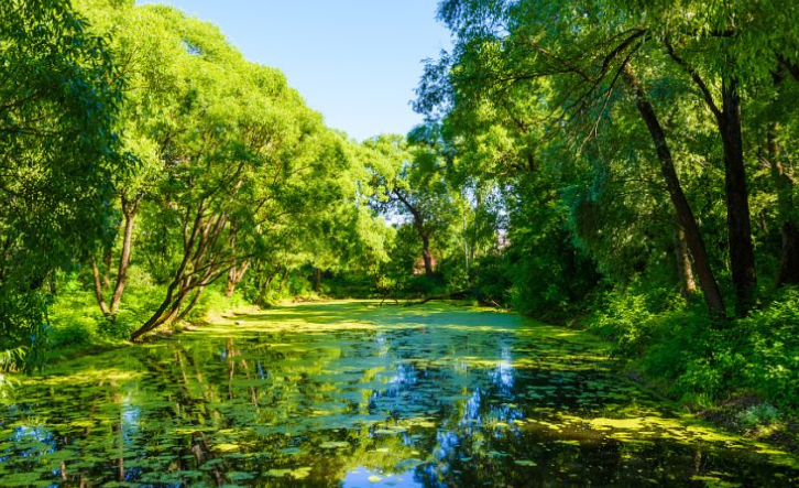 企業用戶如何選擇質量比較好的三星貼片電容